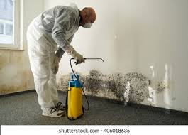 Best Mold Prevention Services in St Francis, MN